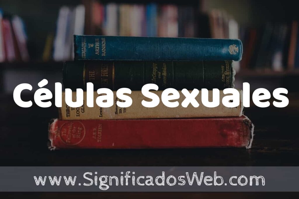 Concepto de Células Sexuales ▶️¿Que es? Definición y Significado