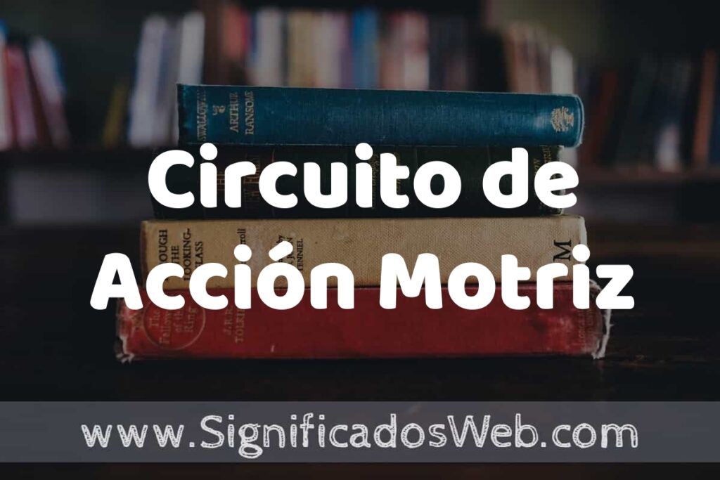 Concepto de Circuito de Acción Motriz ▶️¿Que es? Definición y Significado