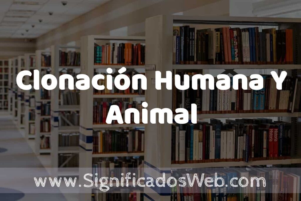 Concepto de Clonación Humana Y Animal ✔️ Significado y Definición