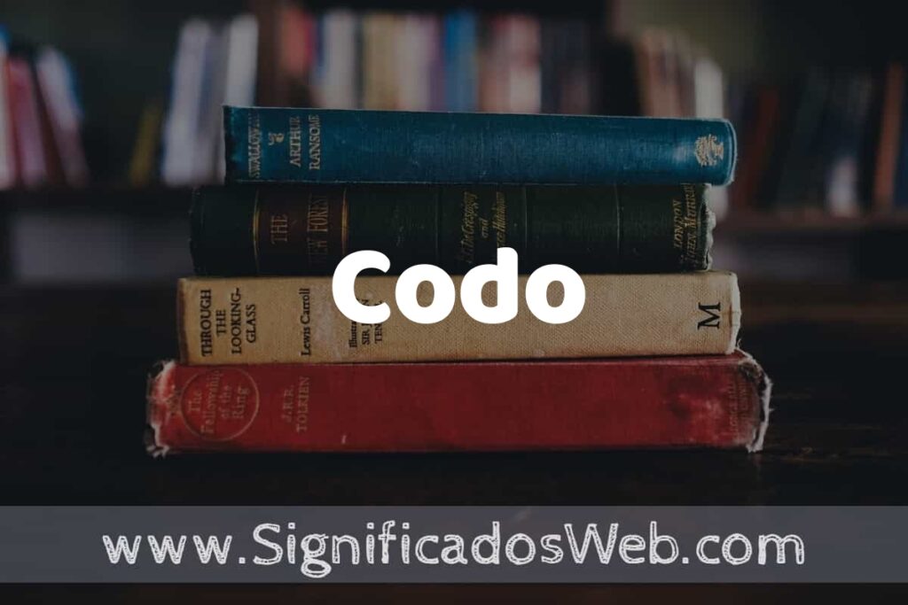 Concepto de Codo ▶️¿Que es? Definición y Significado