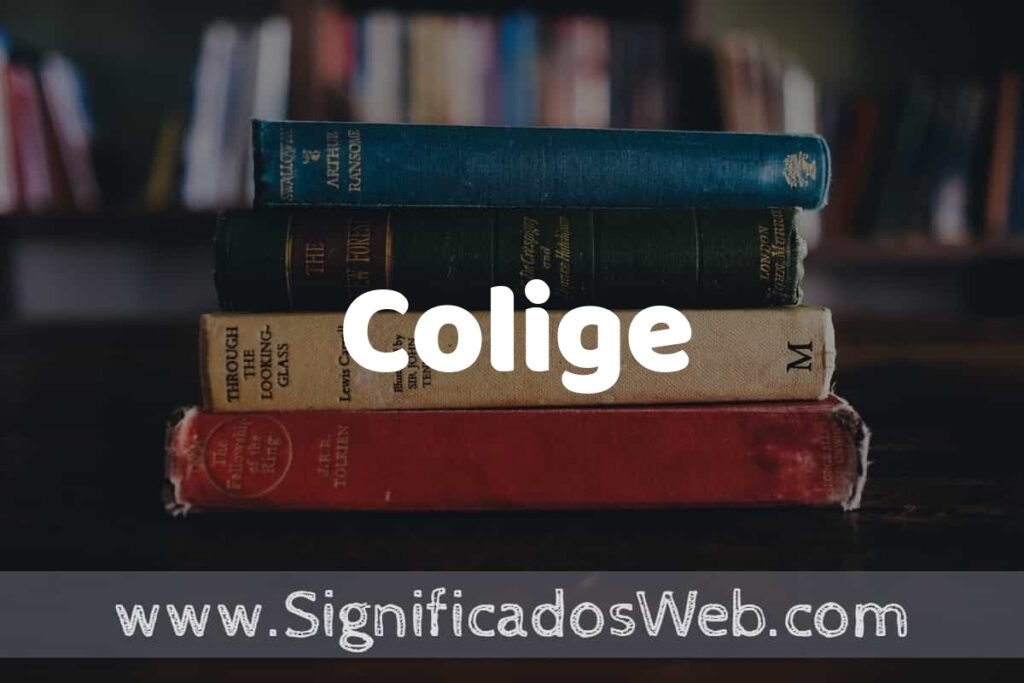 Concepto de Colige ▶️¿Que es? Definición y Significado