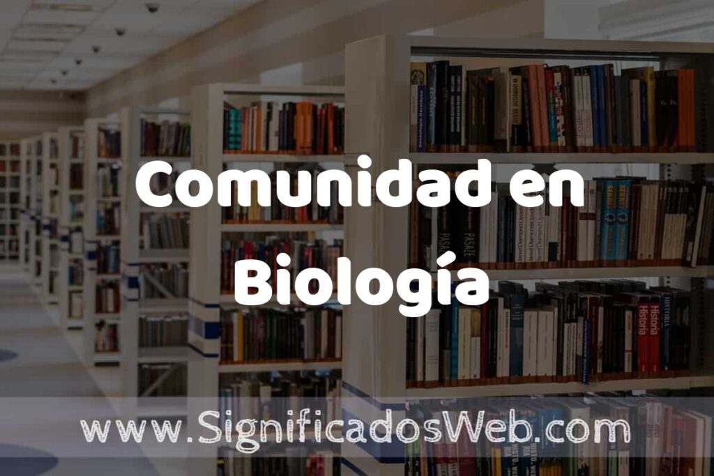 Concepto de Comunidad en Biología ✔️ Significado y Definición
