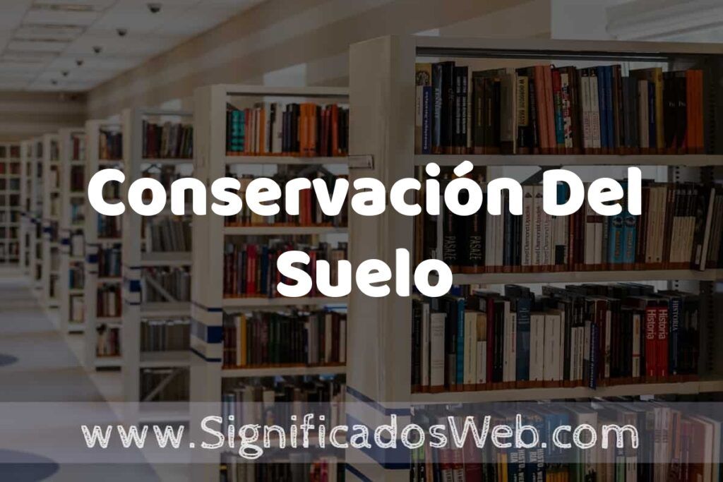 Concepto de Conservación Del Suelo ✔️ Significado y Definición