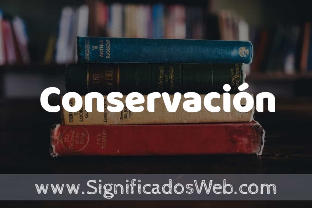 Concepto de Conservación ▶️¿Que es? Definición y Significado