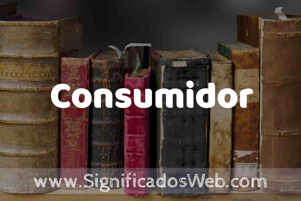 Definición de Consumidor: Que es, 5 Ejemplos, Tipos y Para que Sirve + Sinónimo y Significado