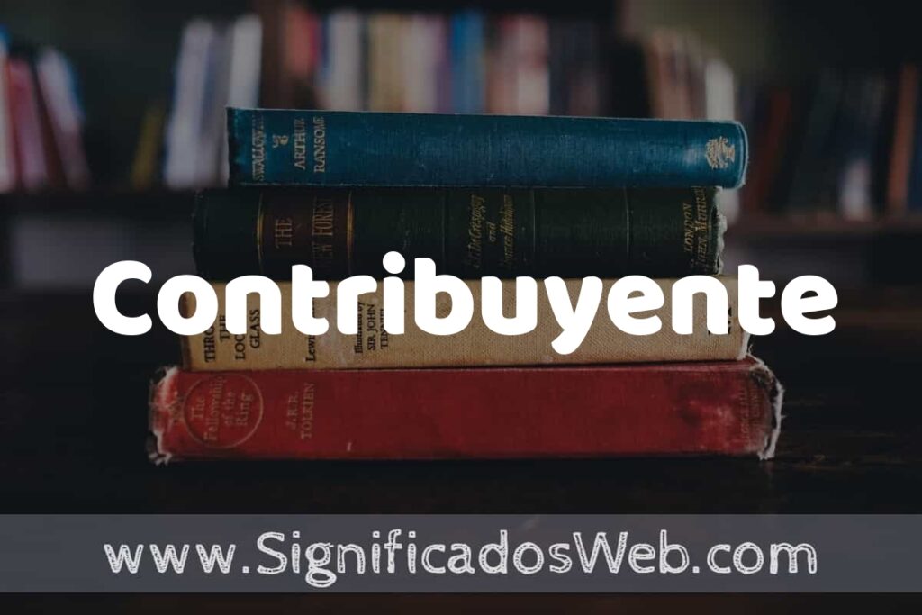 Concepto de Contribuyente ▶️¿Que es? Definición y Significado