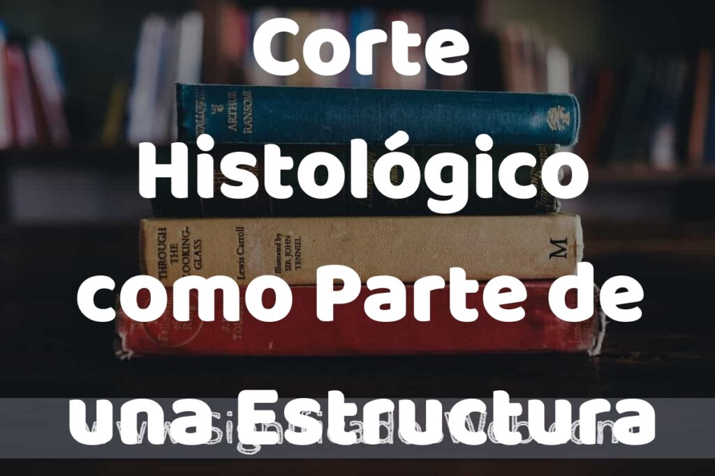 Concepto de Corte Histológico como Parte de una Estructura Tridimensional ▶️¿Que es? Definición y Significado