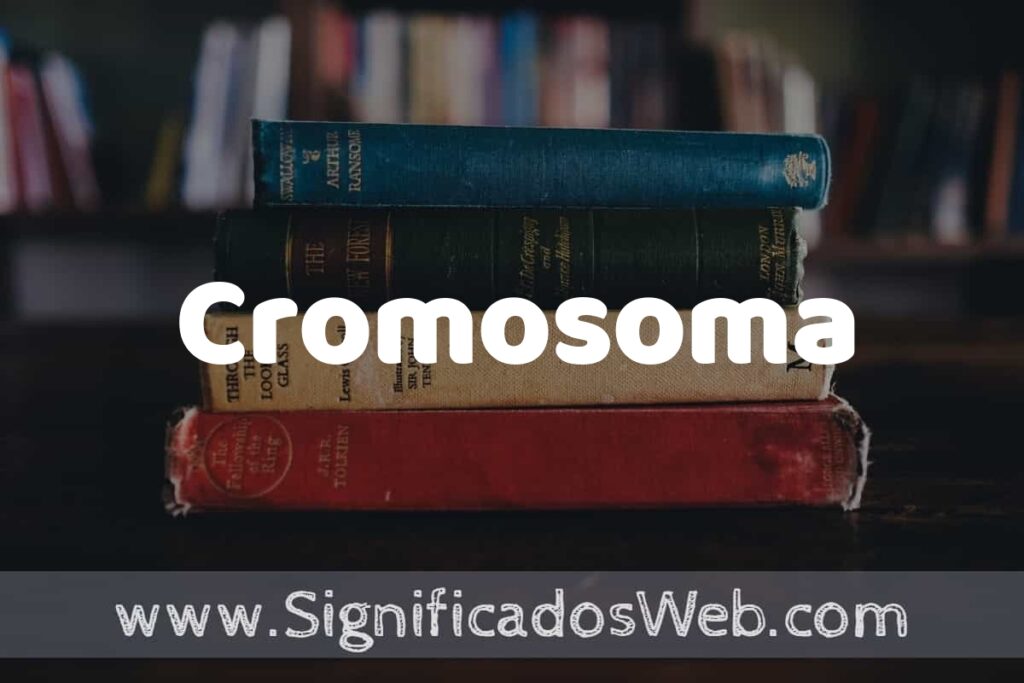 Concepto de Cromosoma ▶️¿Que es? Definición y Significado