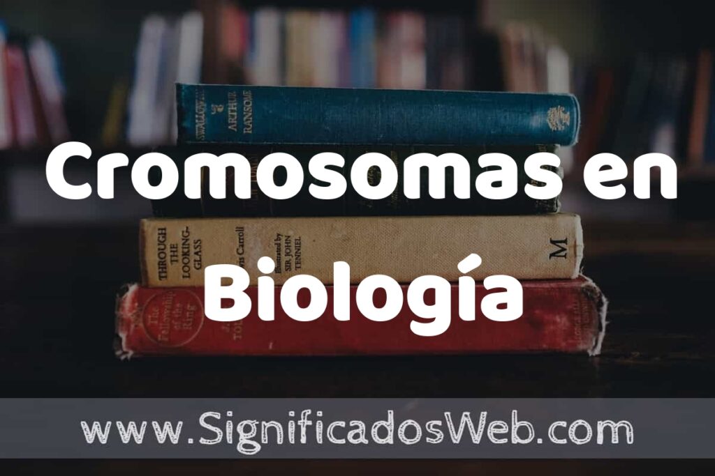 Concepto de Cromosomas en Biología ▶️¿Que es? Definición y Significado