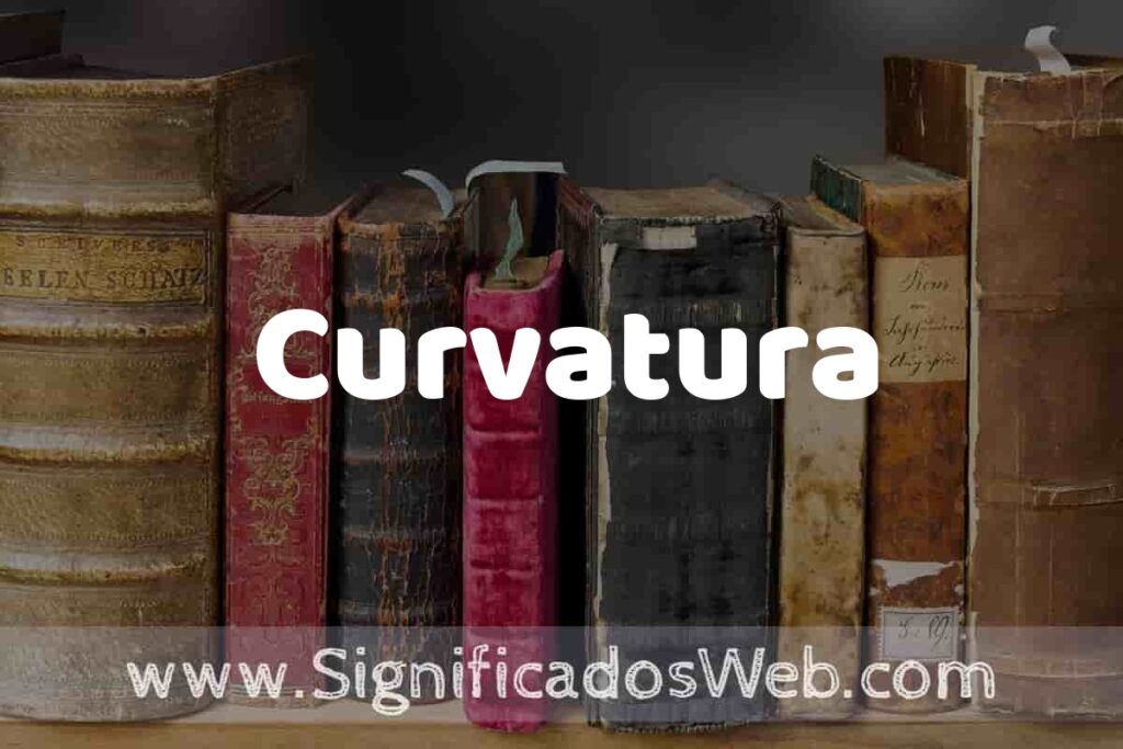 Definición de Curvatura: Que es, 5 Ejemplos, Tipos y Para que Sirve + Sinónimo y Significado