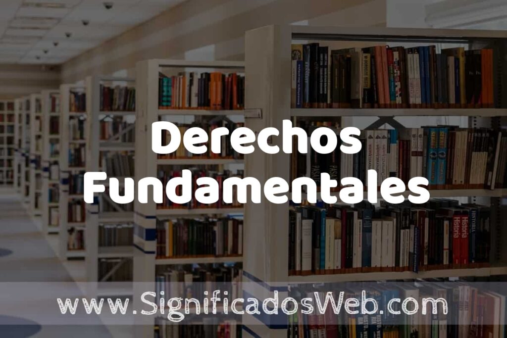 Concepto de Derechos Fundamentales ✔️ Significado y Definición
