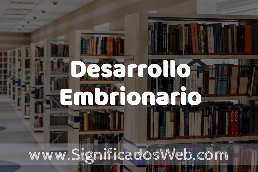 Concepto de Desarrollo Embrionario ✔️ Significado y Definición