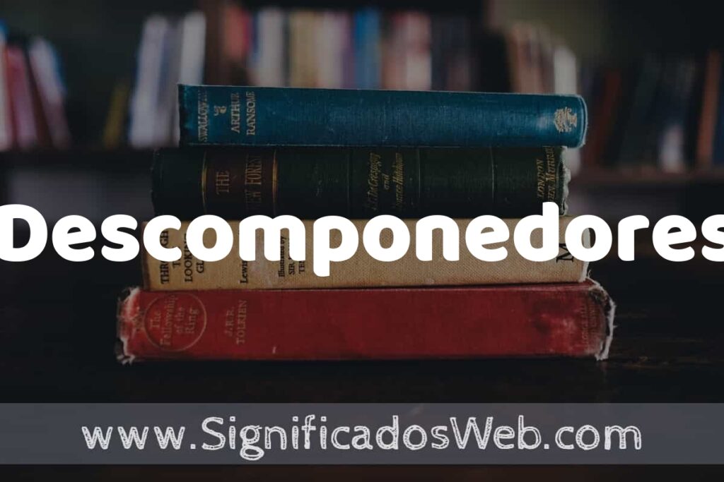 Concepto de Descomponedores ▶️¿Que es? Definición y Significado