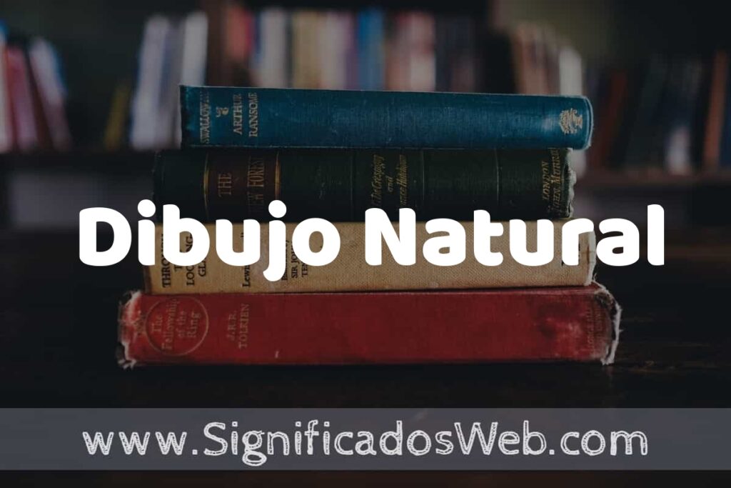 Concepto de Dibujo Natural ▶️¿Que es? Definición y Significado