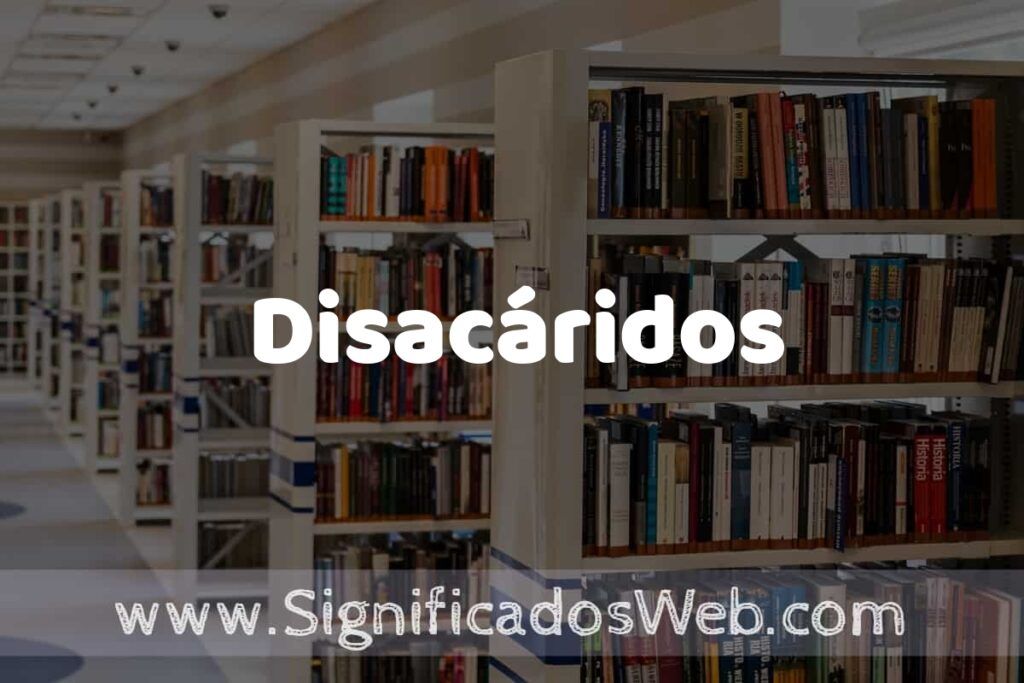 Concepto de Disacáridos ✔️ Significado y Definición