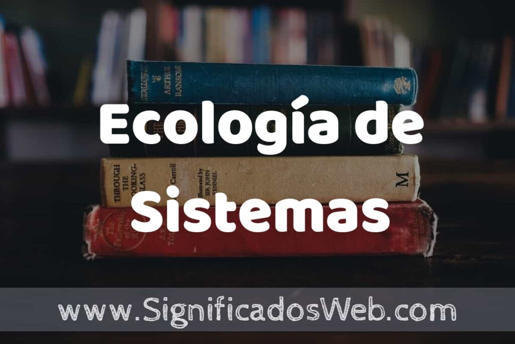 Concepto de Ecología de Sistemas ▶️¿Que es? Definición y Significado