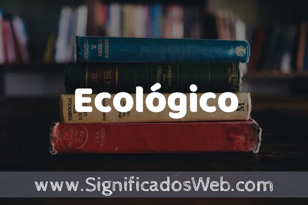 Concepto de Ecológico ▶️¿Que es? Definición y Significado