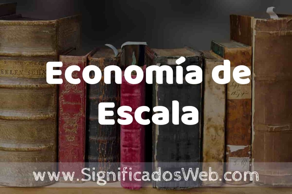 Definición de Economía de Escala: Que es, 5 Ejemplos, Tipos y Para que Sirve + Sinónimo y Significado