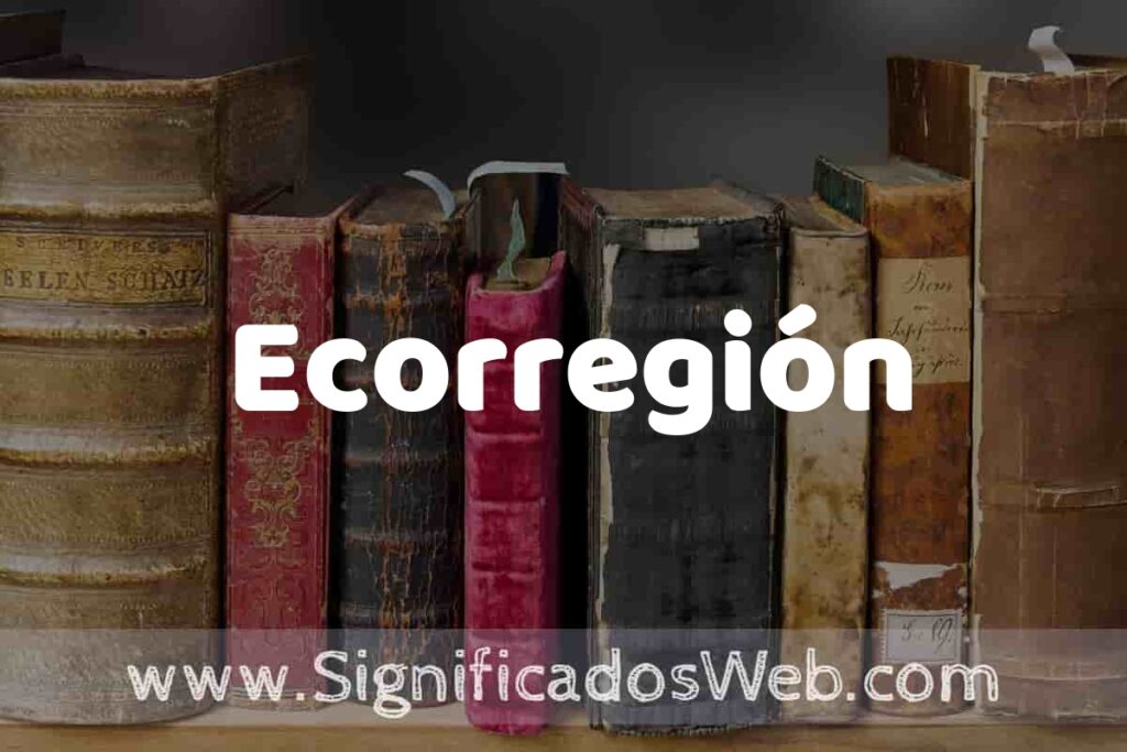 Definición de Ecorregión: Que es, 5 Ejemplos, Tipos y Para que Sirve + Sinónimo y Significado