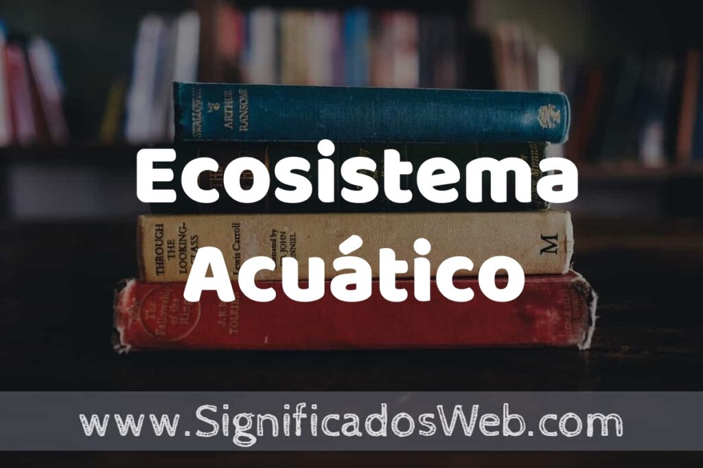 Concepto de Ecosistema Acuático ▶️¿Que es? Definición y Significado
