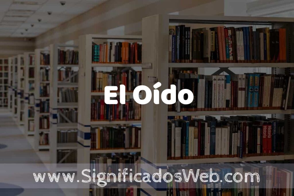 Concepto de El Oído ✔️ Significado y Definición