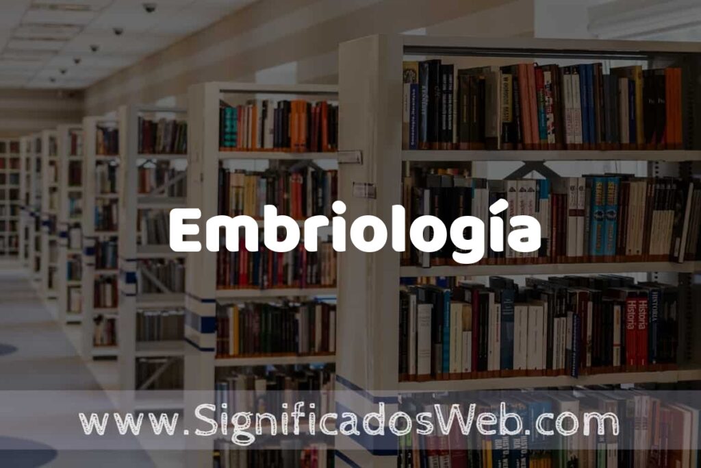 Concepto de Embriología ✔️ Significado y Definición