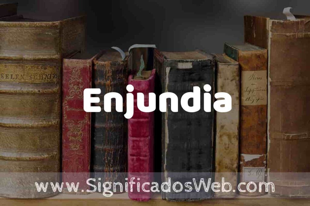 Definición de Enjundia: Que es, 5 Ejemplos, Tipos y Para que Sirve + Sinónimo y Significado