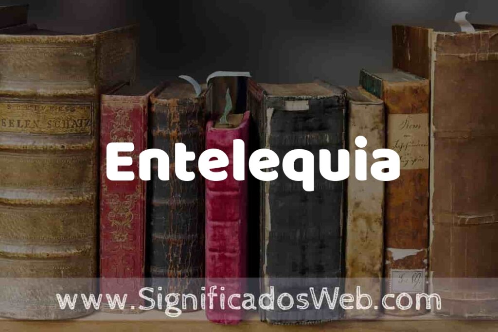 Definición de Entelequia: Que es, 5 Ejemplos, Tipos y Para que Sirve + Sinónimo y Significado