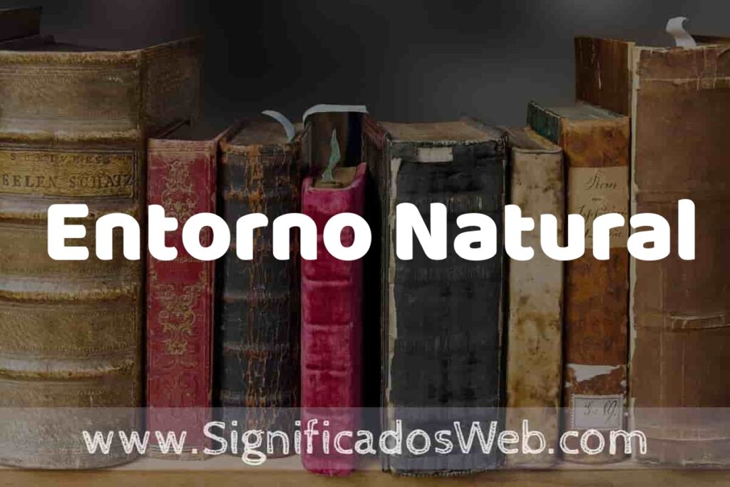 Definición de Entorno Natural: Que es, 5 Ejemplos, Tipos y Para que Sirve + Sinónimo y Significado