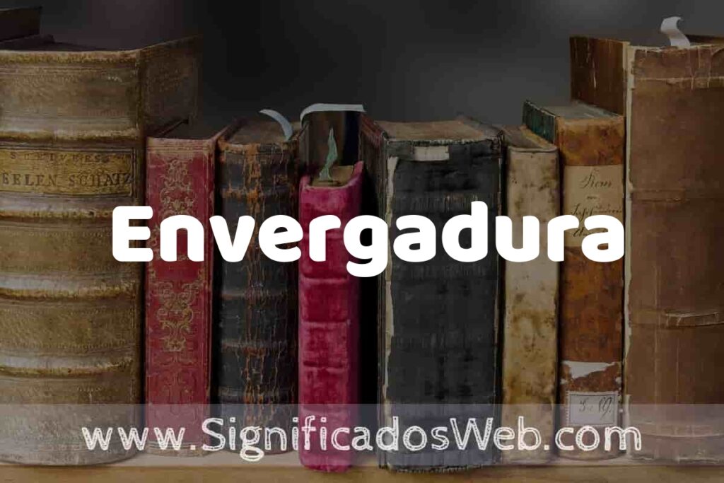 Definición de Envergadura: Que es, 5 Ejemplos, Tipos y Para que Sirve + Sinónimo y Significado