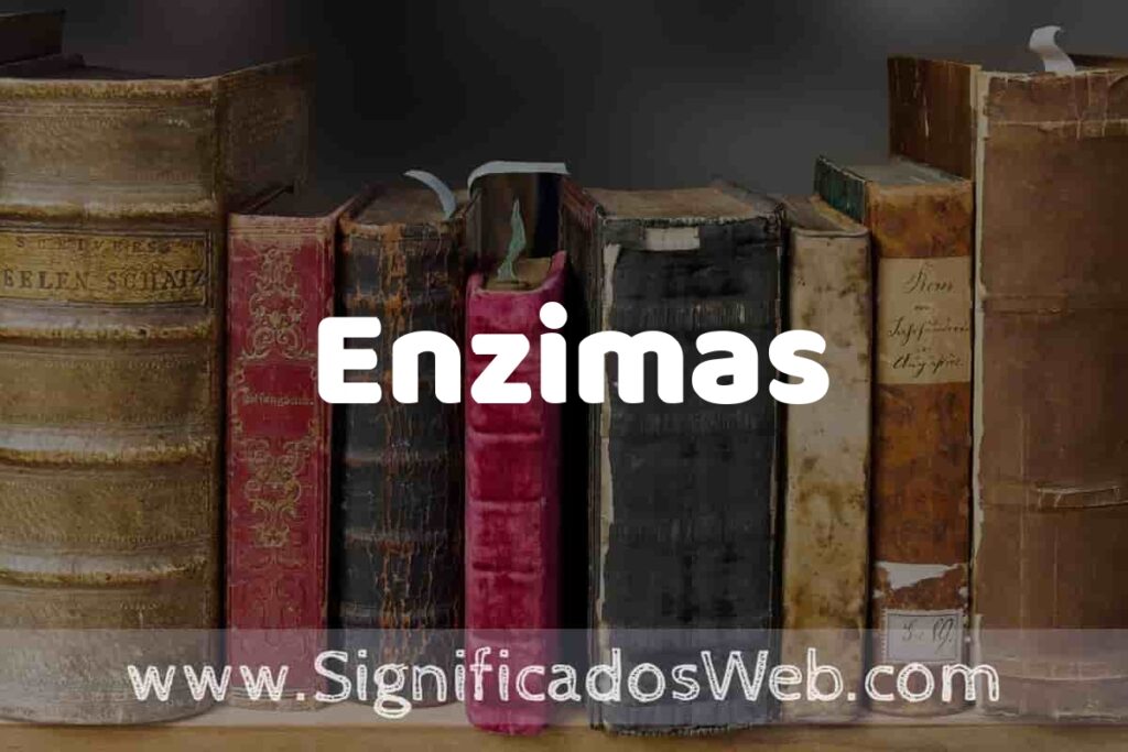 Definición de Enzimas: Que es, 5 Ejemplos, Tipos y Para que Sirve + Sinónimo y Significado