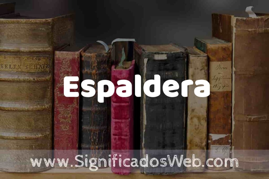 Definición de Espaldera: Que es, 5 Ejemplos, Tipos y Para que Sirve + Sinónimo y Significado
