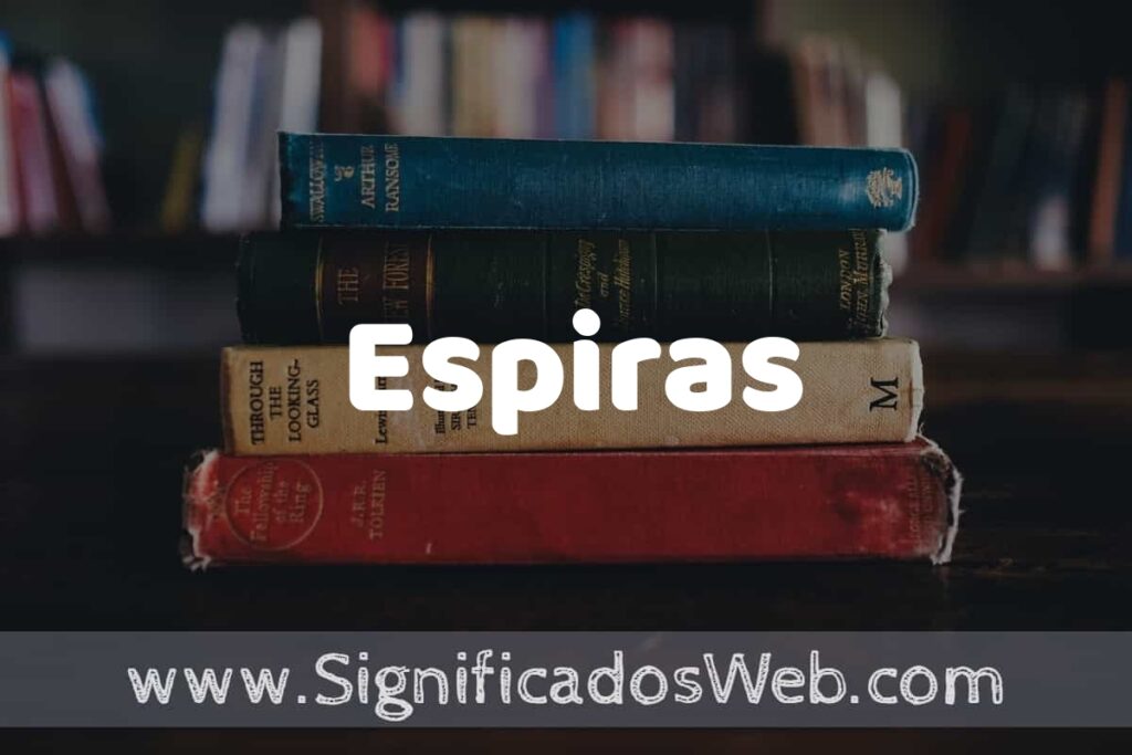 Concepto de Espiras ▶️¿Que es? Definición y Significado