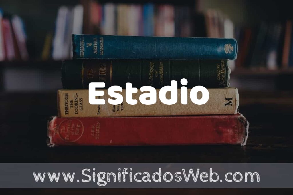 Concepto de Estadio ▶️¿Que es? Definición y Significado