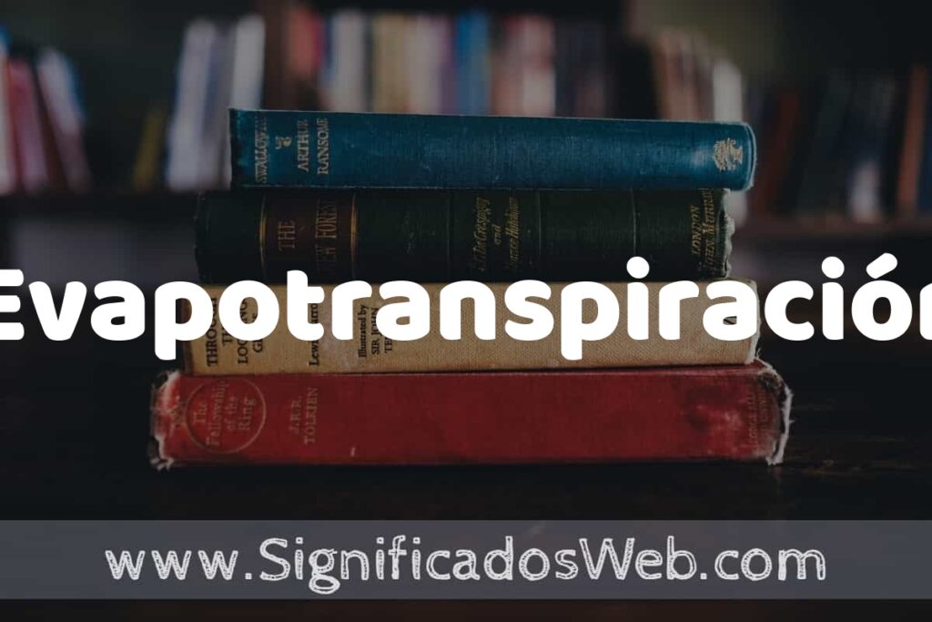 Concepto de Evapotranspiración ▶️¿Que es? Definición y Significado