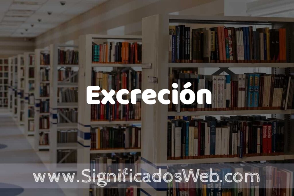 Concepto de Excreción ✔️ Significado y Definición