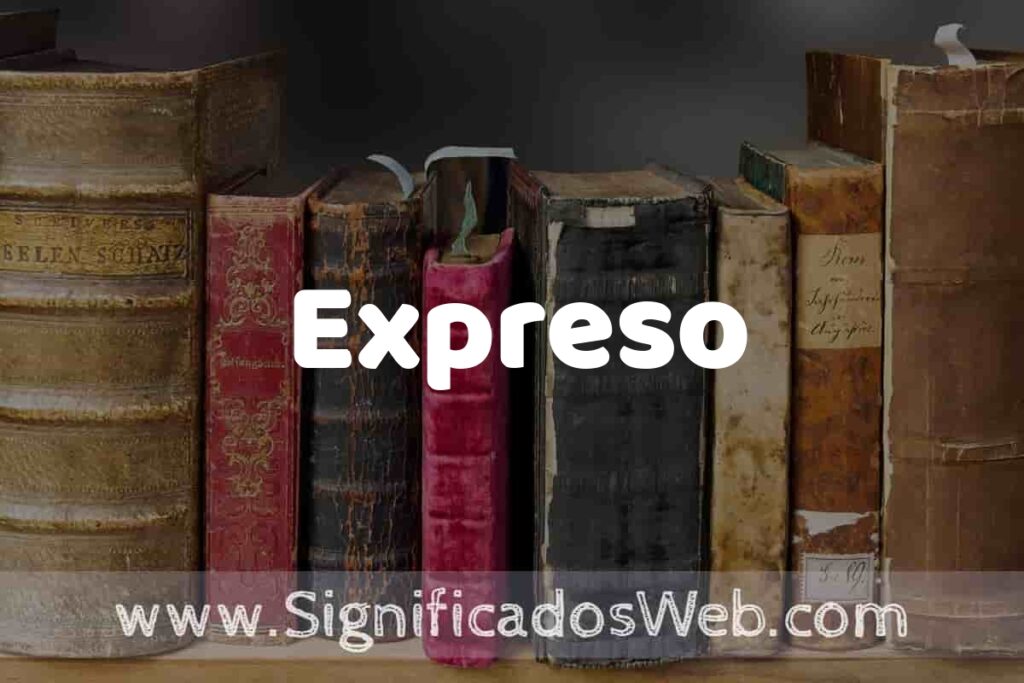 Definición de Expreso: Que es, 5 Ejemplos, Tipos y Para que Sirve + Sinónimo y Significado