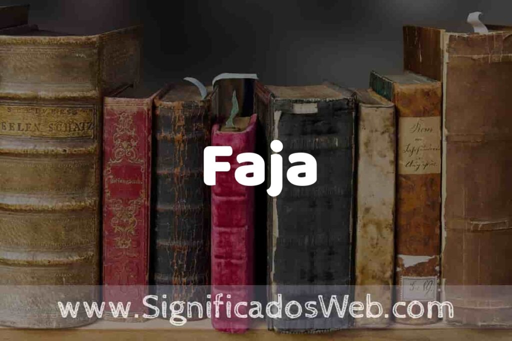 Definición de Faja: Que es, 5 Ejemplos, Tipos y Para que Sirve + Sinónimo y Significado