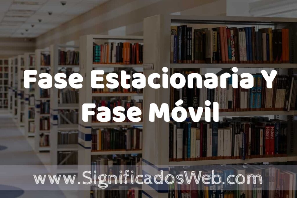 Concepto de Fase Estacionaria Y Fase Móvil ✔️ Significado y Definición