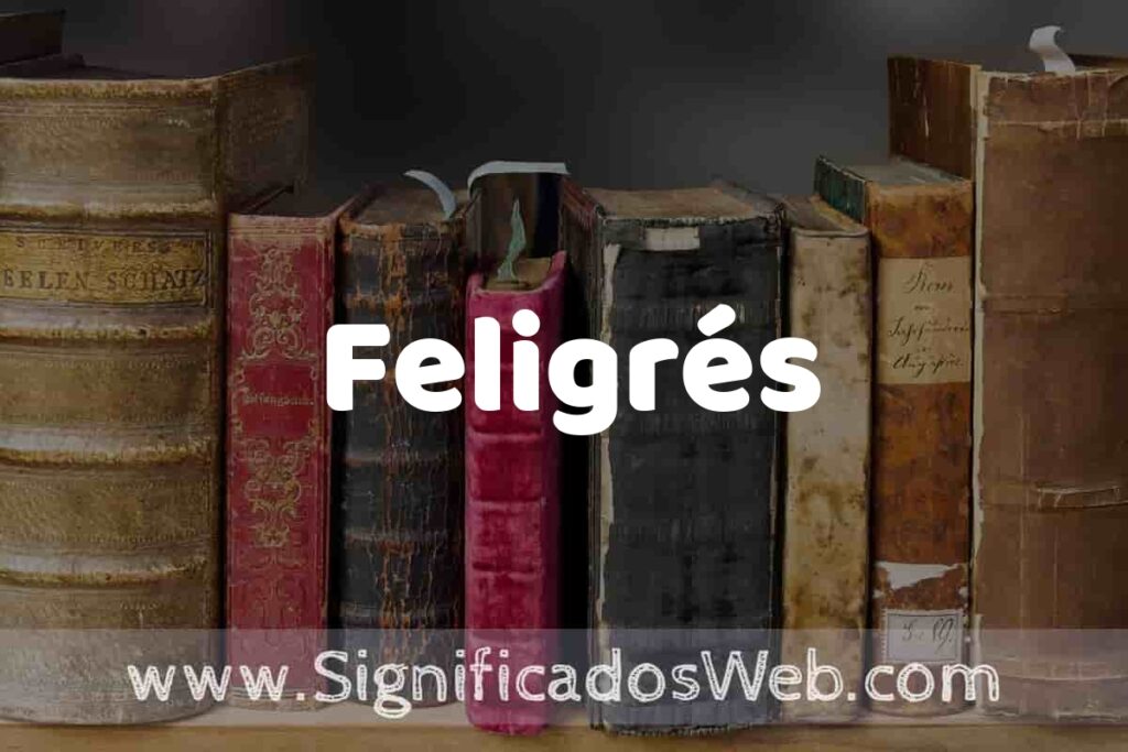 Definición de Feligrés: Que es, 5 Ejemplos, Tipos y Para que Sirve + Sinónimo y Significado