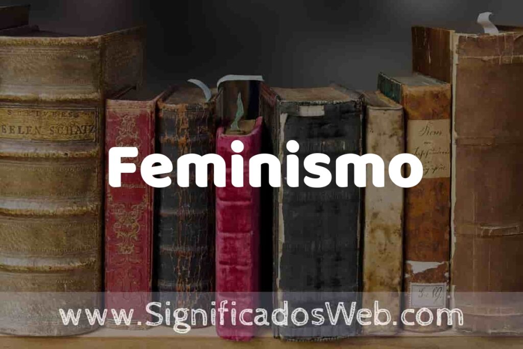 Definición de Feminismo: Que es, 5 Ejemplos, Tipos y Para que Sirve + Sinónimo y Significado