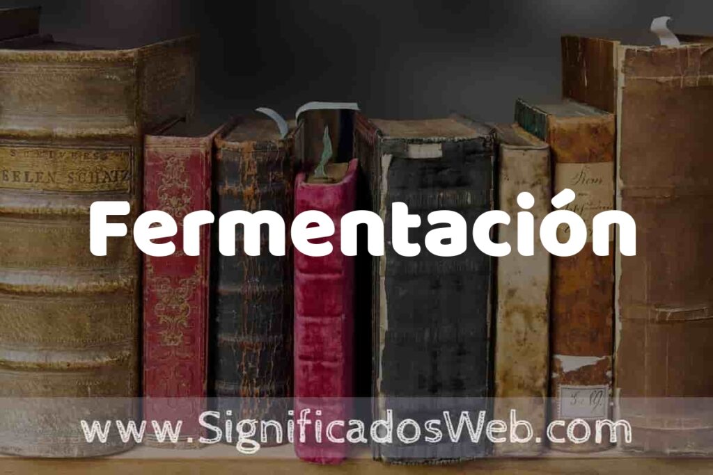 Definición de Fermentación: Que es, 5 Ejemplos, Tipos y Para que Sirve + Sinónimo y Significado