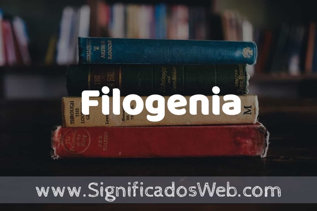 Concepto de Filogenia ▶️¿Que es? Definición y Significado