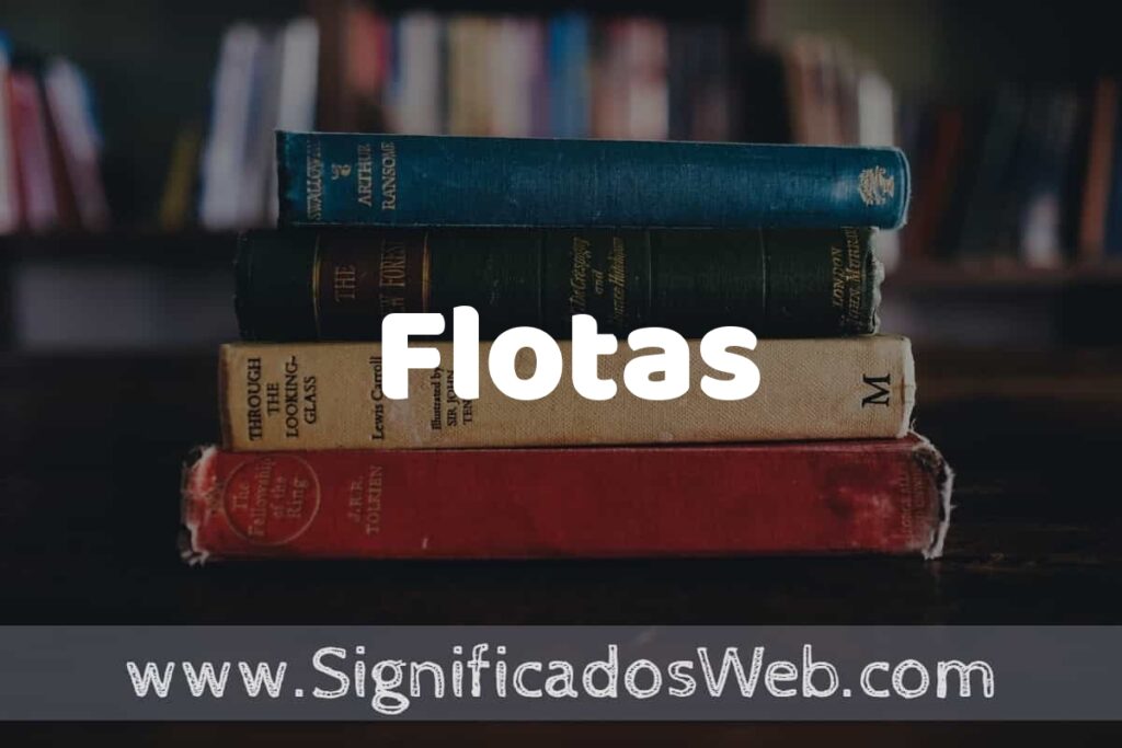 Concepto de Flotas ▶️¿Que es? Definición y Significado