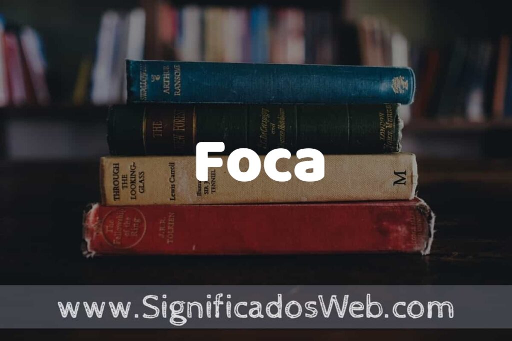 Concepto de Foca ▶️¿Que es? Definición y Significado