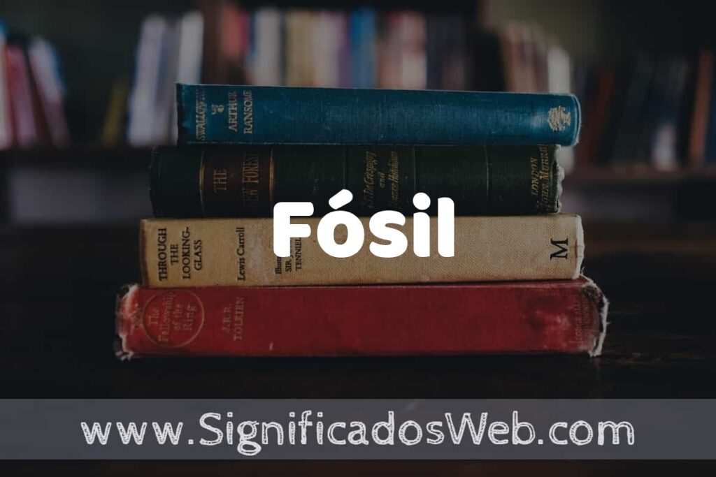 Concepto de Fósil ▶️¿Que es? Definición y Significado