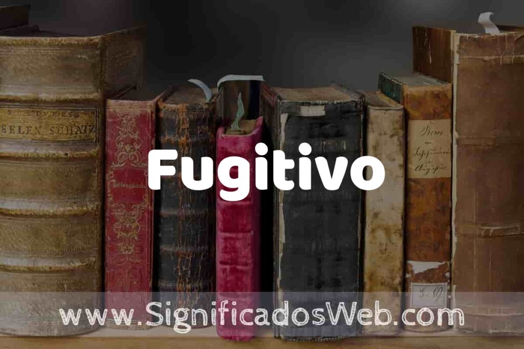 Definición de Fugitivo: Que es, 5 Ejemplos, Tipos y Para que Sirve + Sinónimo y Significado
