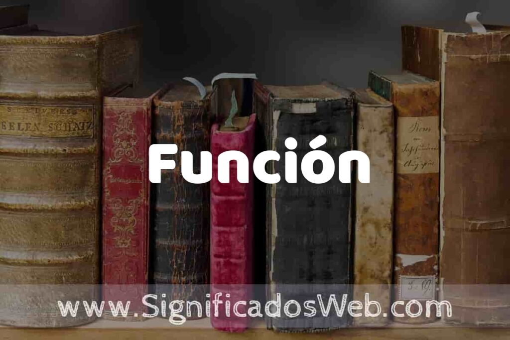 Definición de Función: Que es, 5 Ejemplos, Tipos y Para que Sirve + Sinónimo y Significado