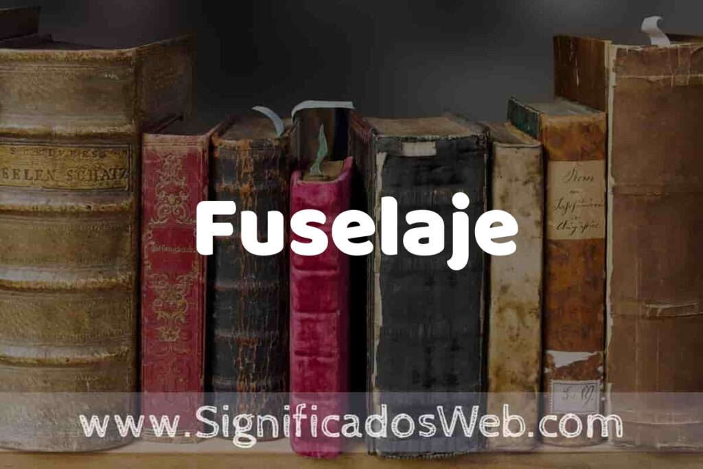 Definición de Fuselaje: Que es, 5 Ejemplos, Tipos y Para que Sirve + Sinónimo y Significado