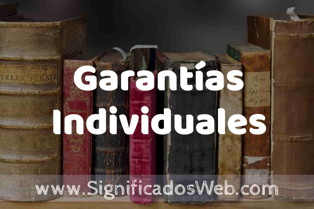 Definición de Garantías Individuales: Que es, 5 Ejemplos, Tipos y Para que Sirve + Sinónimo y Significado